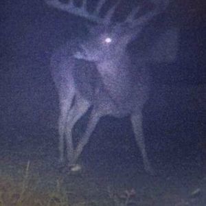 Meet your Posher, Brad